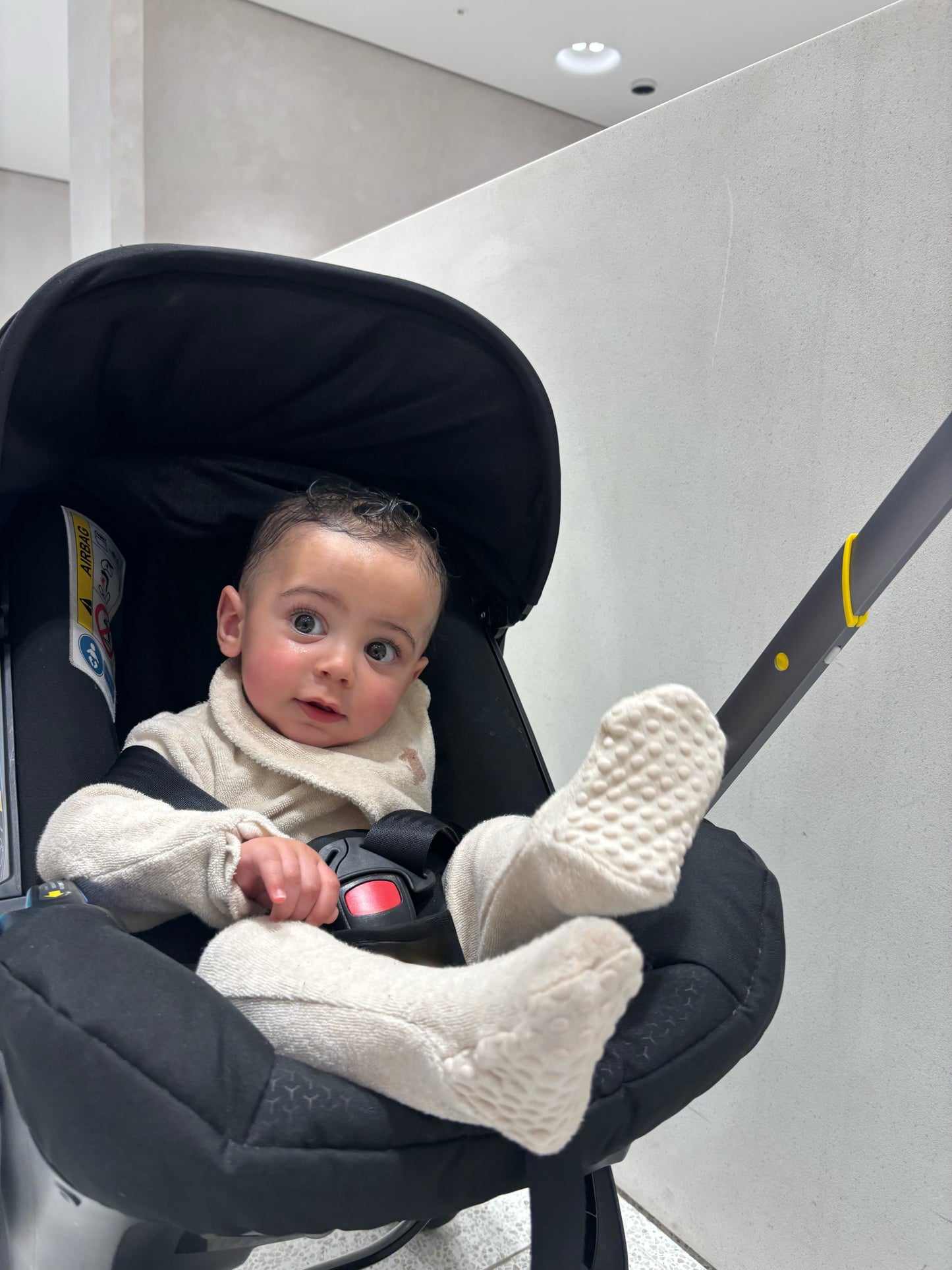 Walk With Me, 4-in-1 Baby Stroller