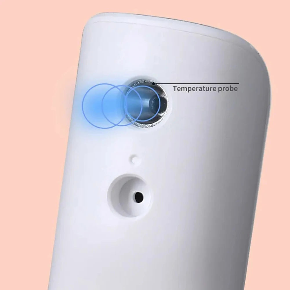 Multifunctional Thermometer