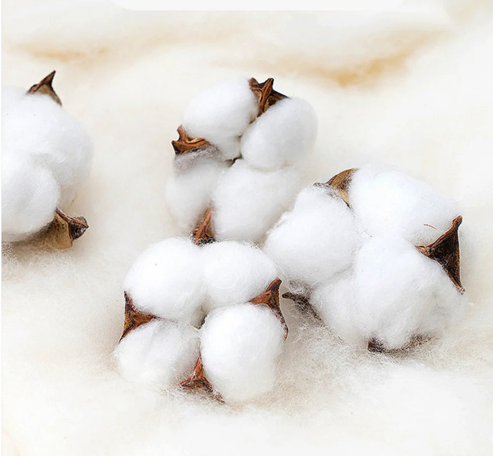 Apparel Collection, Bath Robe